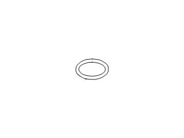 O-Ring 17x2 am Boden des Kaffeebehälters der RLX-Serie Bravilor Bonamat