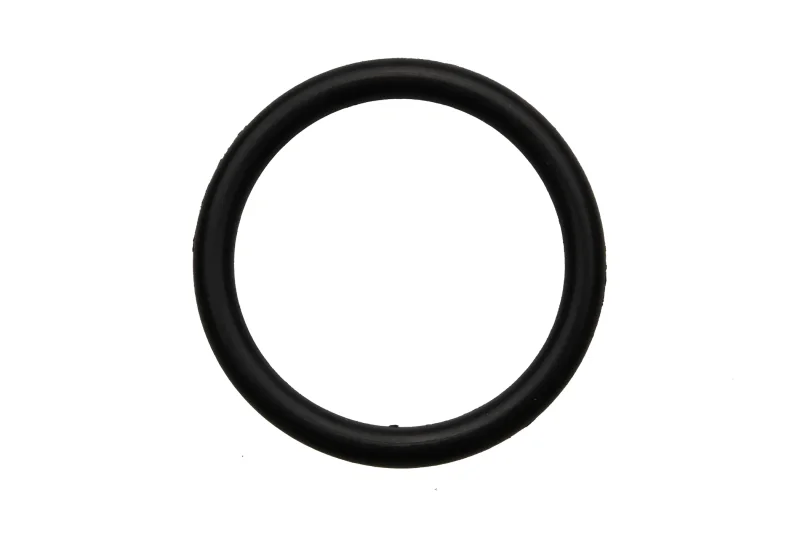 O-Ring 16x1.9 für die RLX-Serie Bravilor Bonamat
